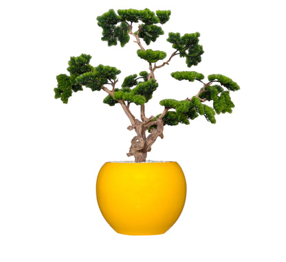 Golden Orb Bonsai Sculpture Tree