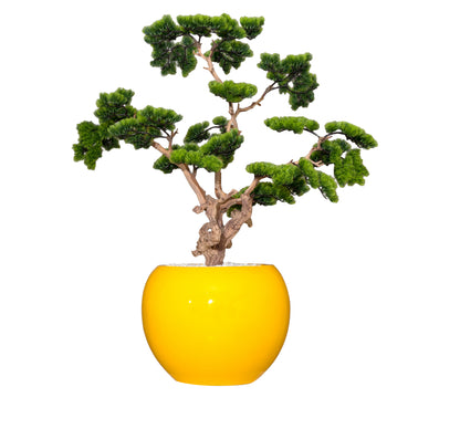 Golden Orb Bonsai Sculpture Tree