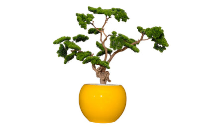 Golden Orb Bonsai Sculpture Tree