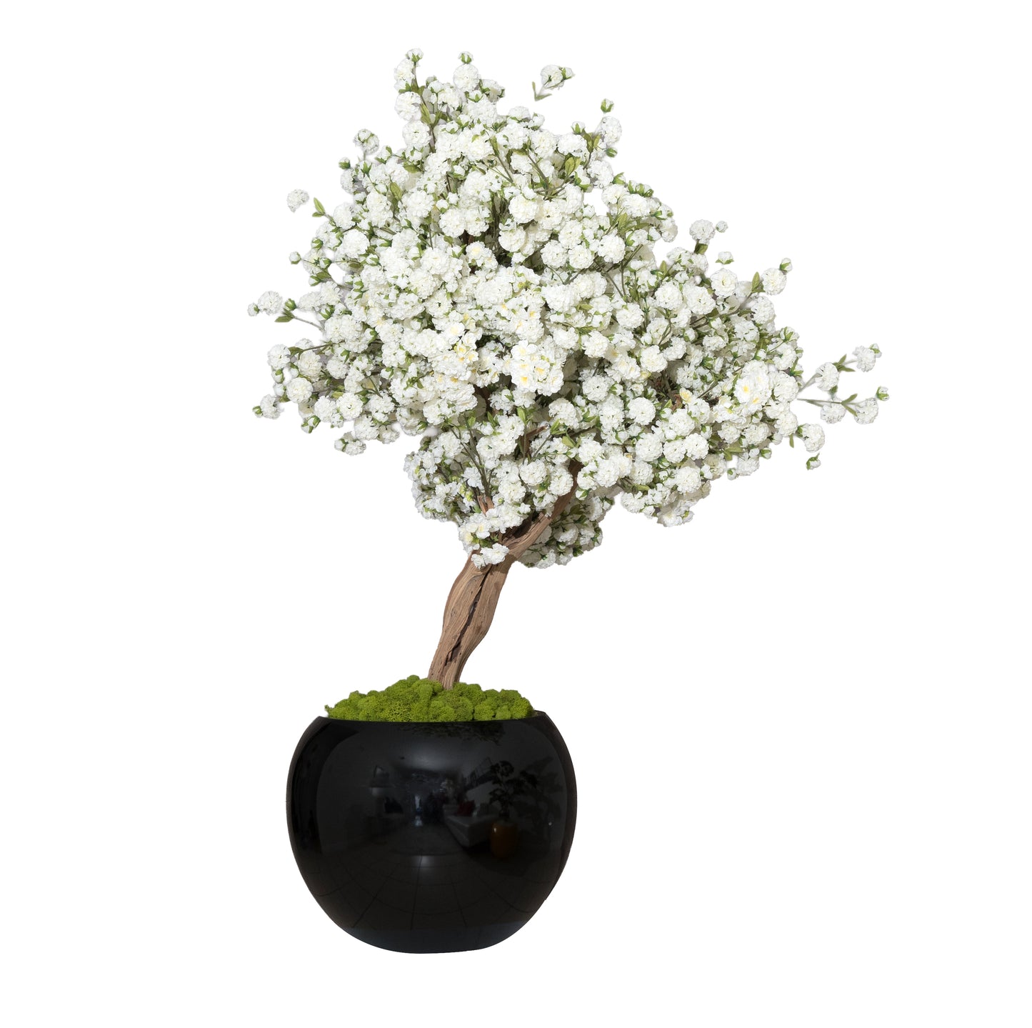 White Blossom Drift Tree in Black Vase