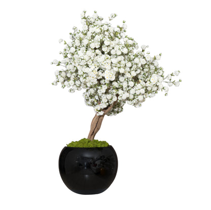 White Blossom Drift Tree in Black Vase
