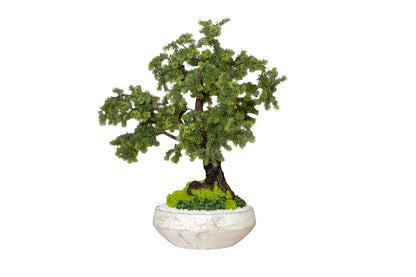 Miniature Forest Bonsai in Stone Bowl
