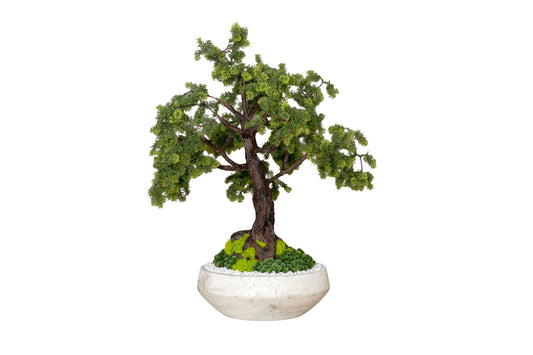 Miniature Forest Bonsai in Stone Bowl