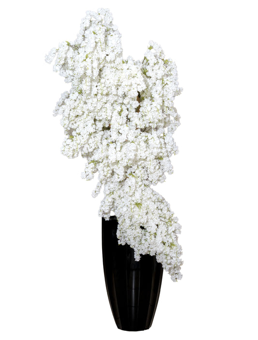 Grand White Waterfall Cherry Tree