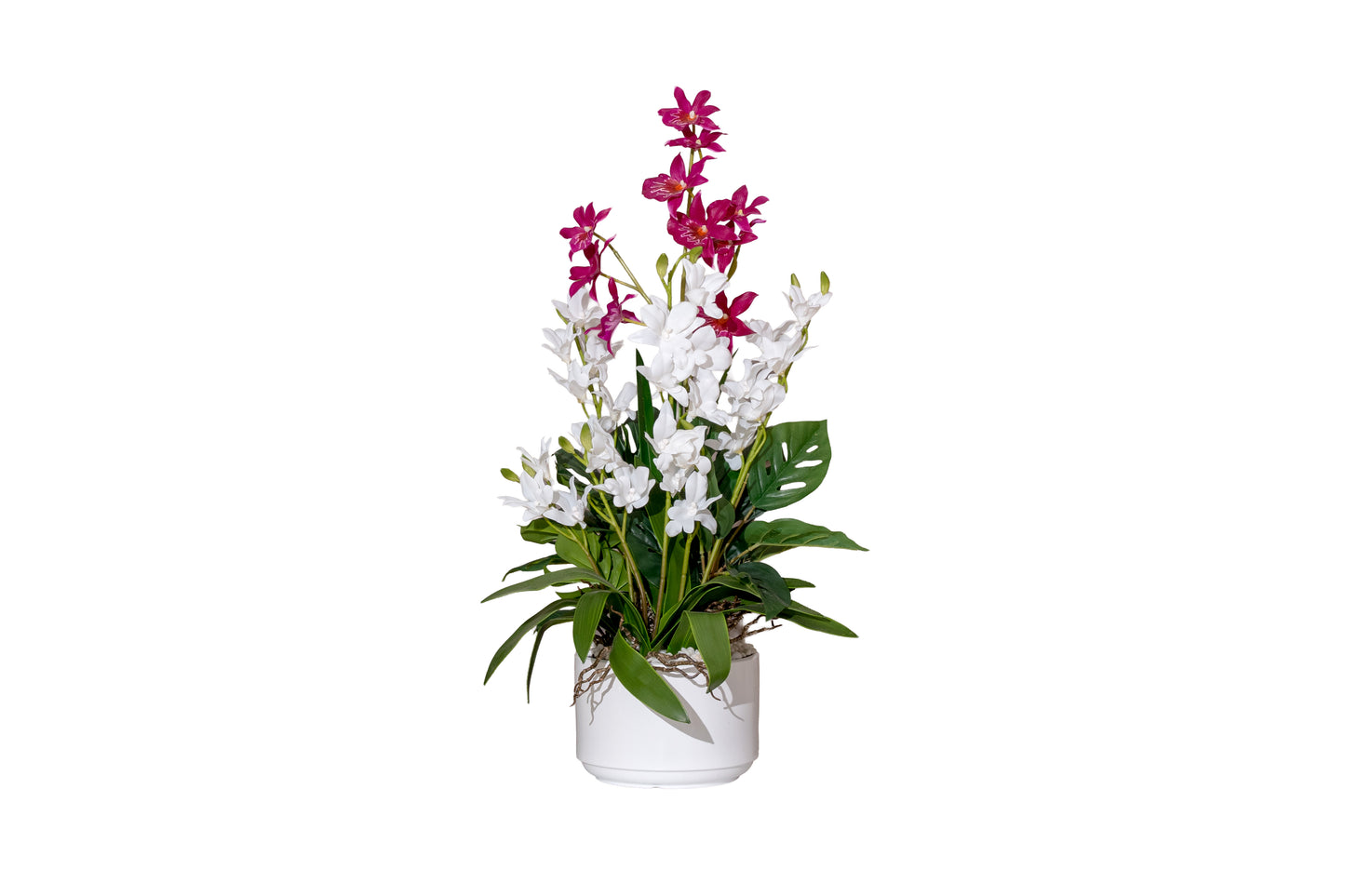 Dual Orchid Elegance Arrangement