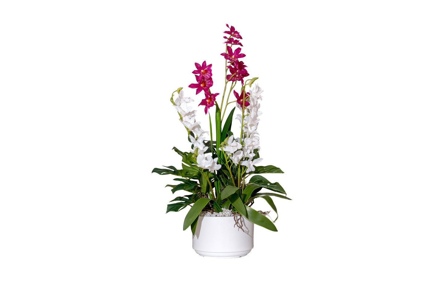 Dual Orchid Elegance Arrangement