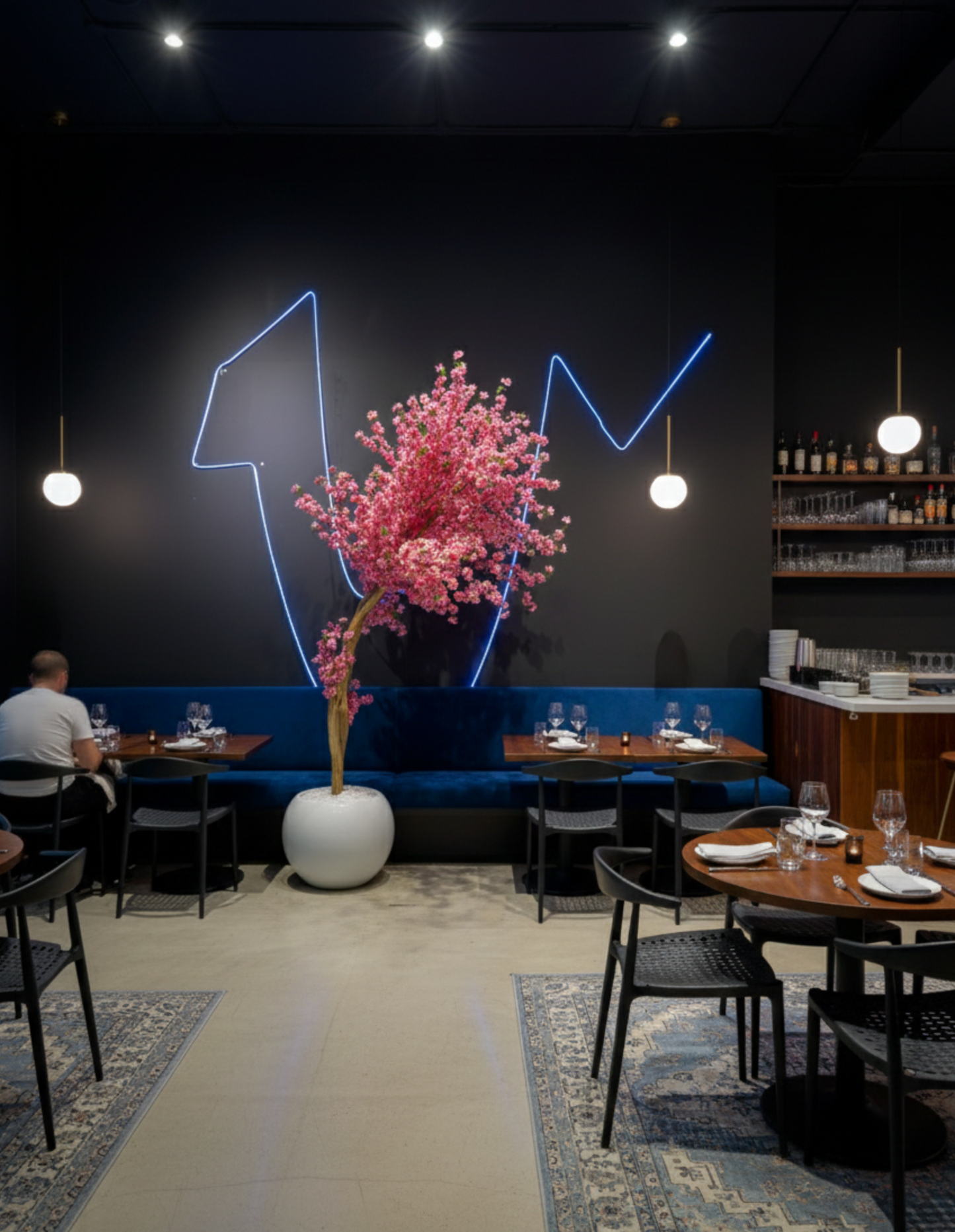 Red Sakura Wind‑Swept Tree