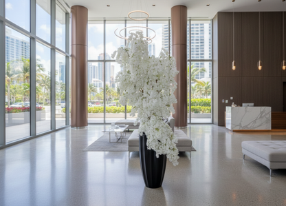 Grand White Waterfall Cherry Tree